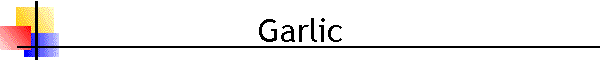 Garlic