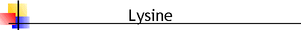 Lysine